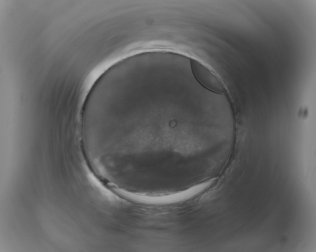 X0000112531527200909141235