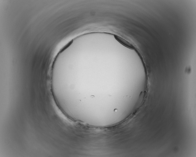 X0000112531528200909141235