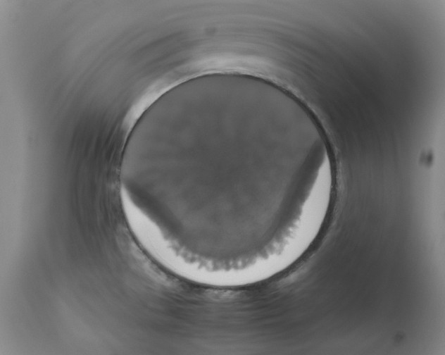 X0000112531529200909141235