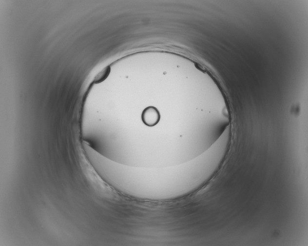 X0000112531530200909141235