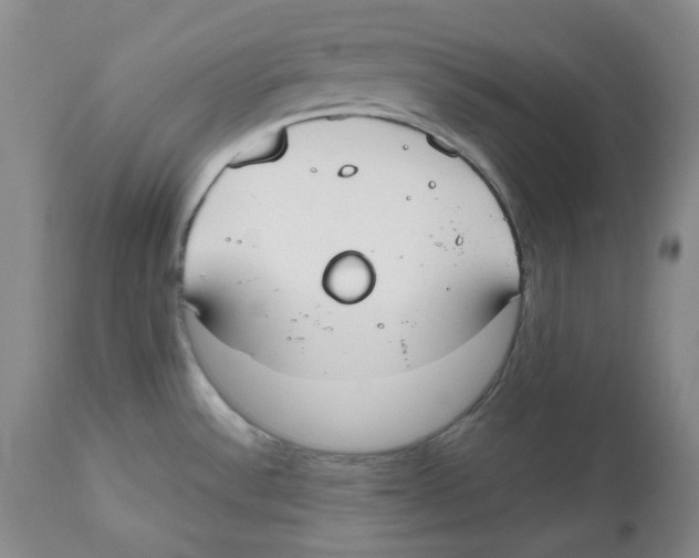 X0000112531532200909141235