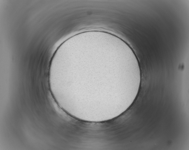 X0000112531534200909141235