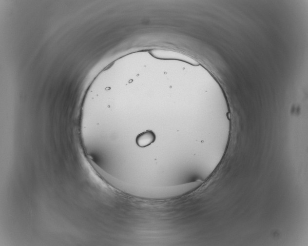 X0000112531536200909141235