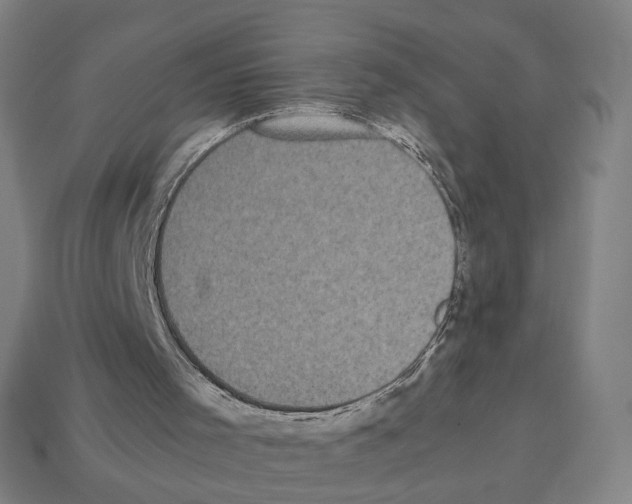 X0000112530001200909281048