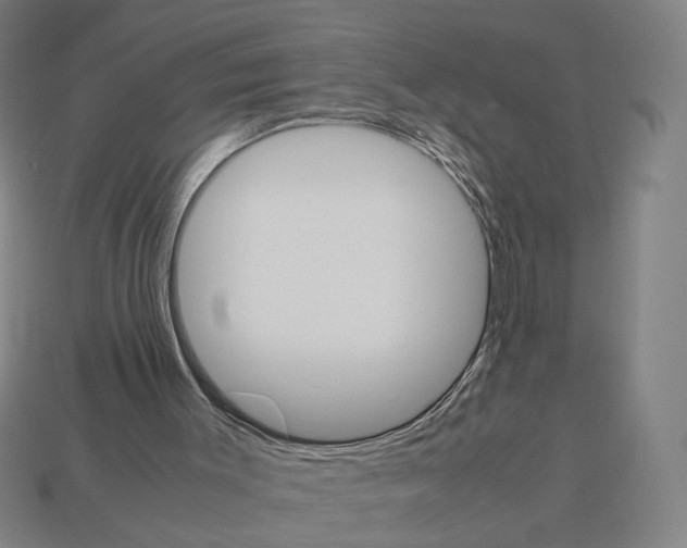 X0000112530003200909281048