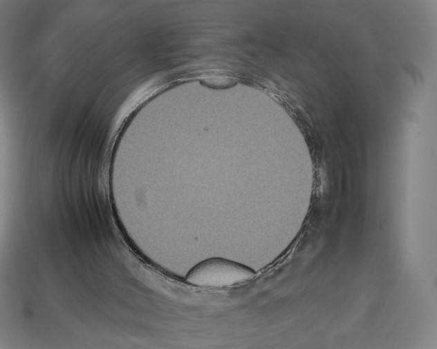 X0000112530004200909281048