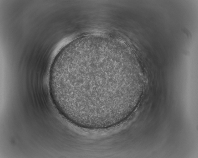 X0000112530006200909281048