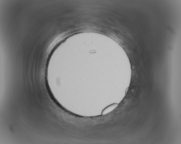 X0000112530007200909281048