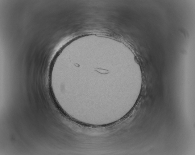 X0000112530008200909281048