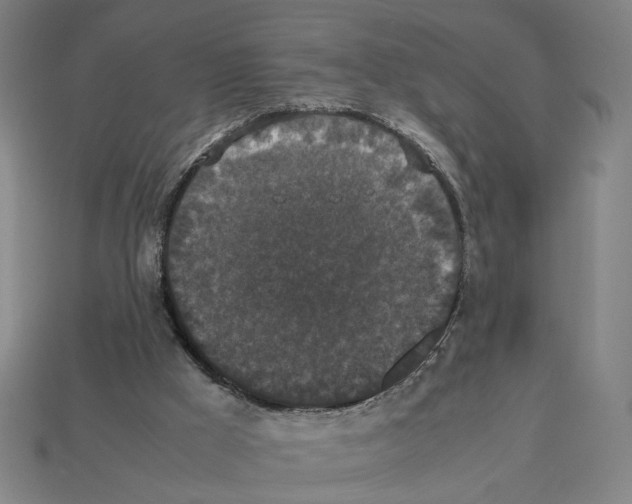 X0000112530009200909281048