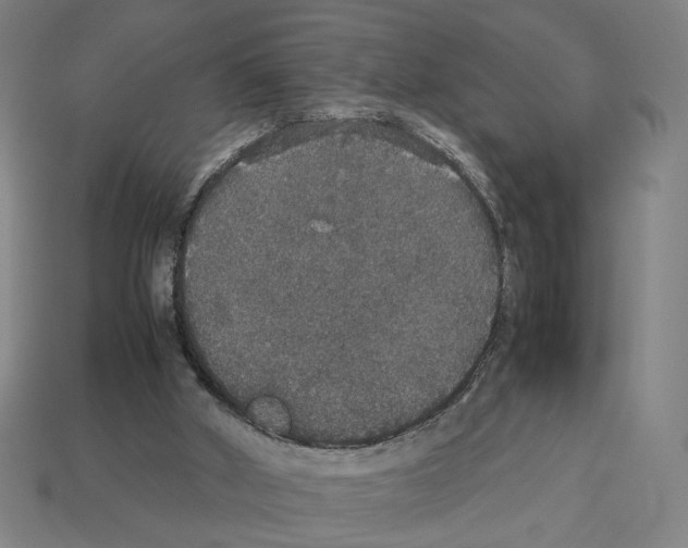 X0000112530010200909281048