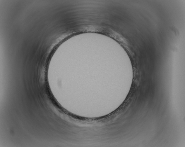 X0000112530012200909281048