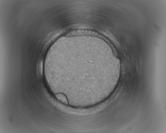 X0000112530014200909281048