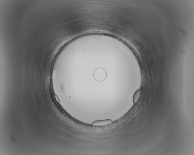 X0000112530015200909281048