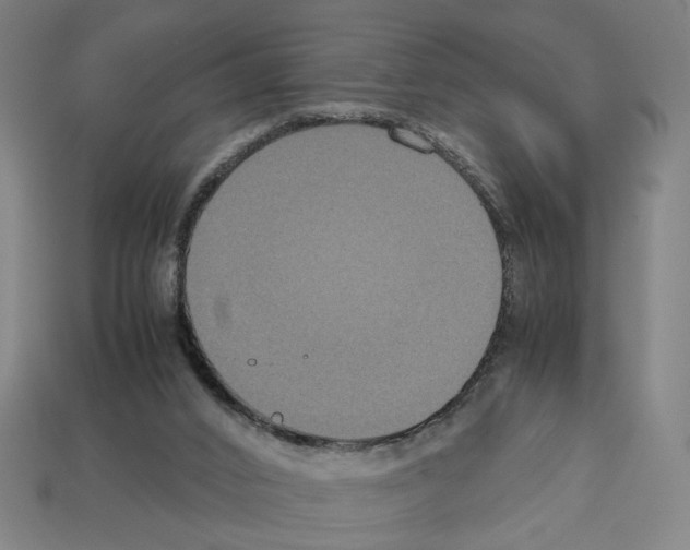 X0000112530016200909281048