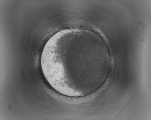 X0000112530018200909281048