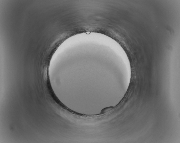 X0000112530019200909281048