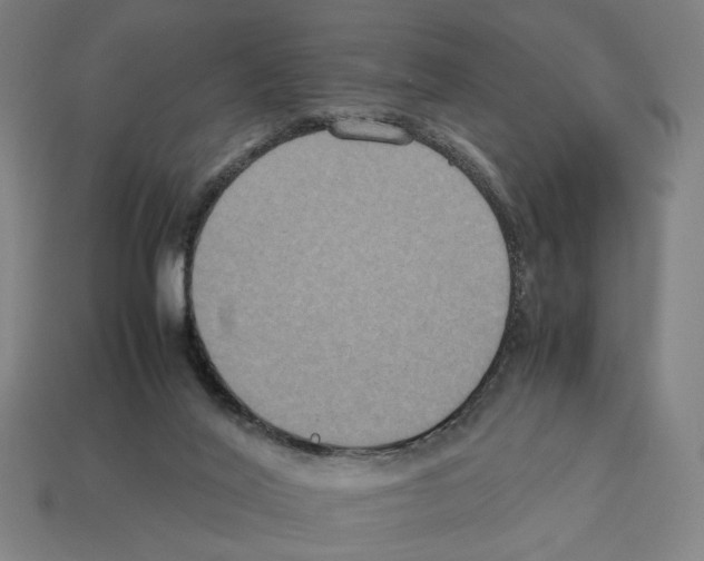 X0000112530020200909281048