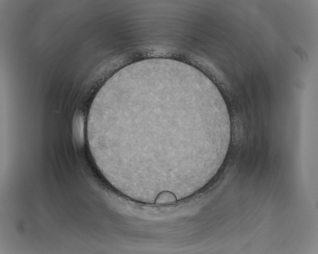 X0000112530022200909281048