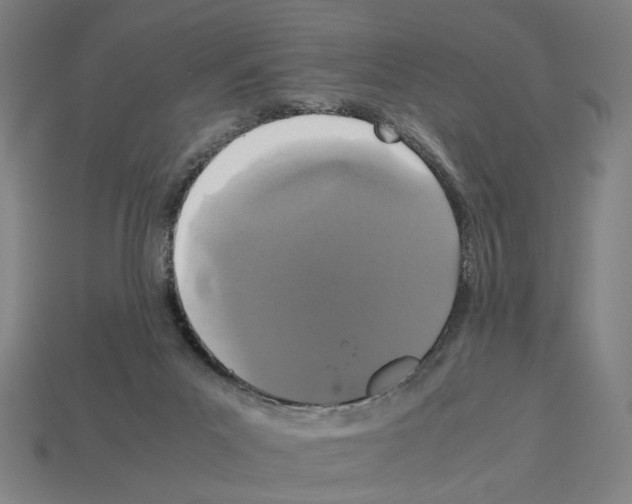 X0000112530023200909281048