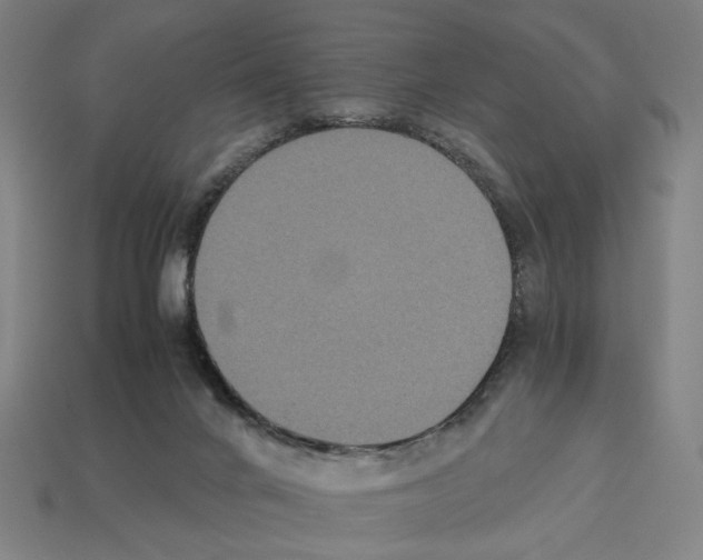 X0000112530024200909281048