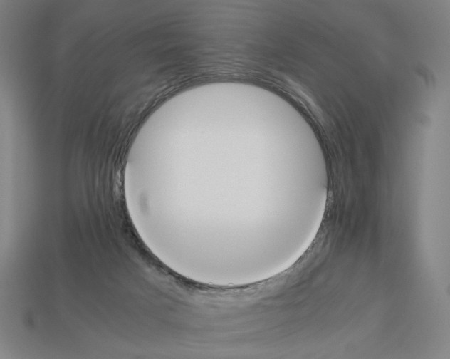 X0000112530025200909281048