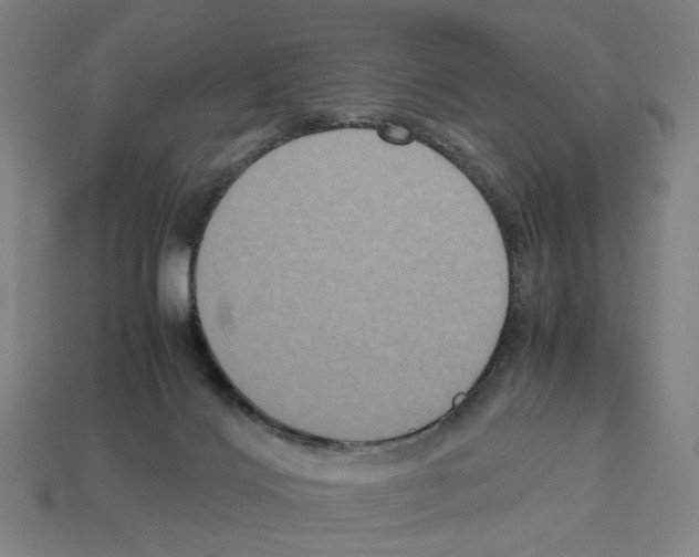 X0000112530028200909281048