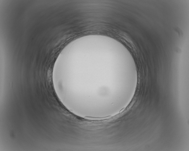 X0000112530029200909281048