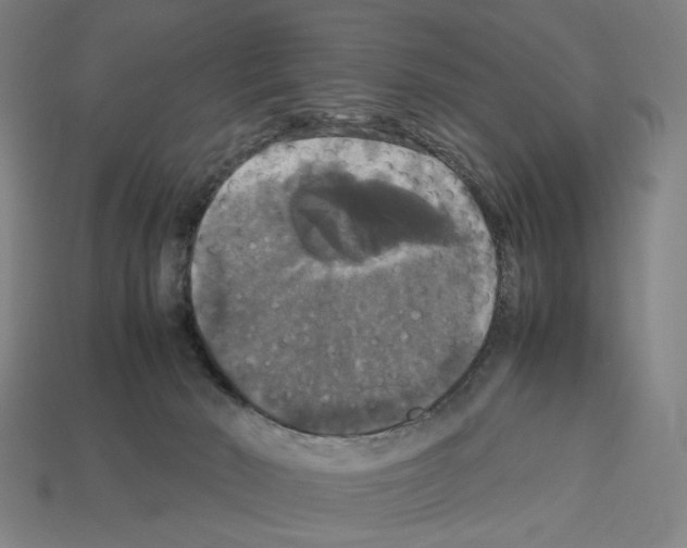 X0000112530030200909281048