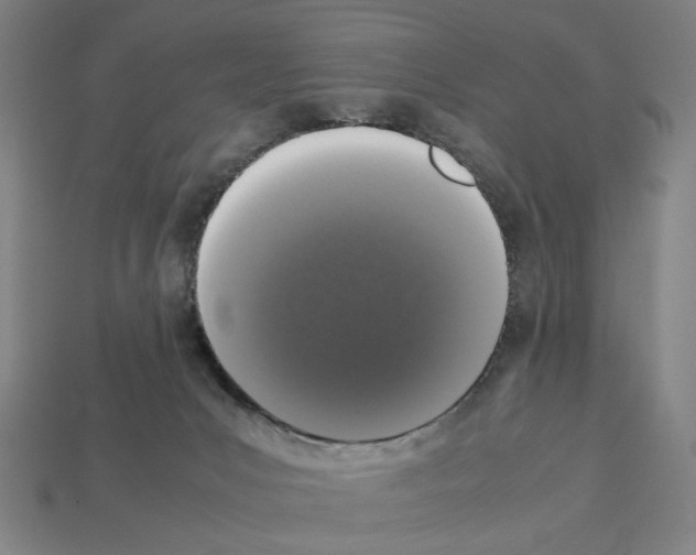 X0000112530031200909281048