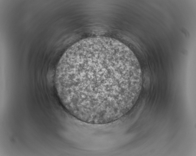 X0000112530034200909281048