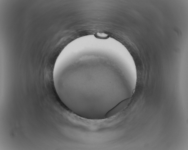 X0000112530035200909281048