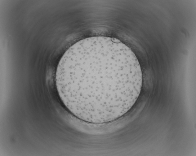 X0000112530038200909281048