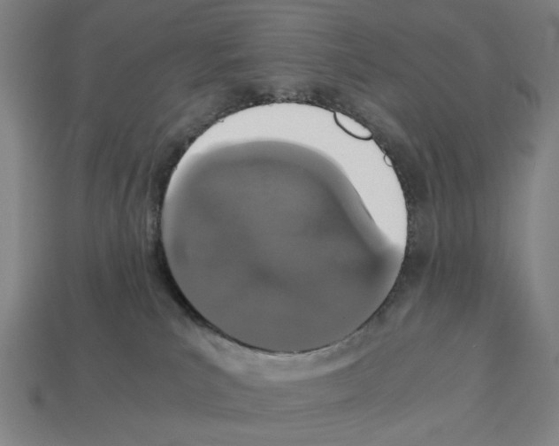 X0000112530039200909281048