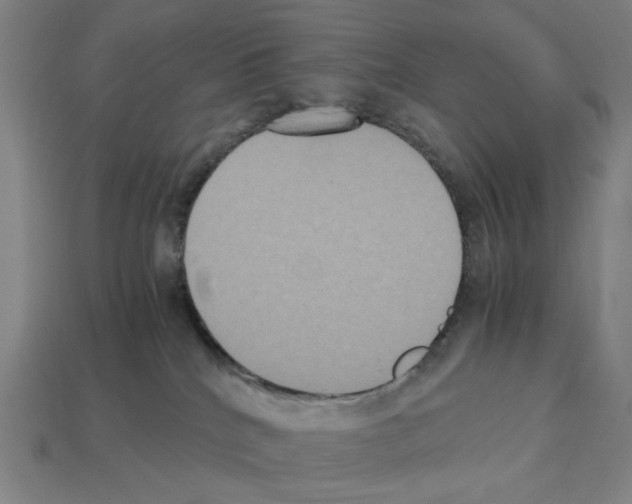 X0000112530040200909281048