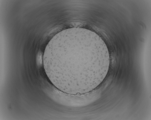 X0000112530042200909281047