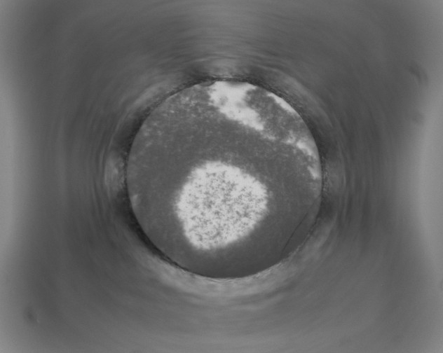 X0000112530043200909281047