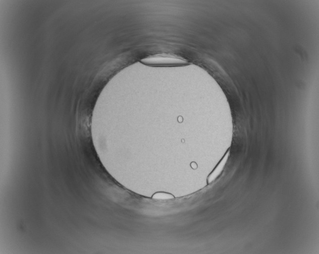 X0000112530045200909281047