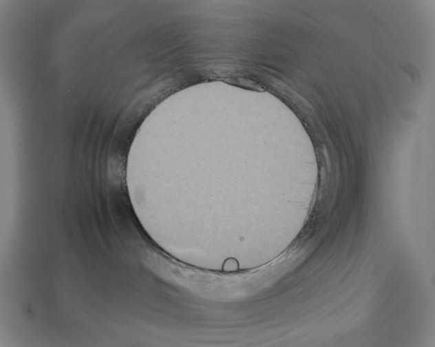 X0000112530048200909281047