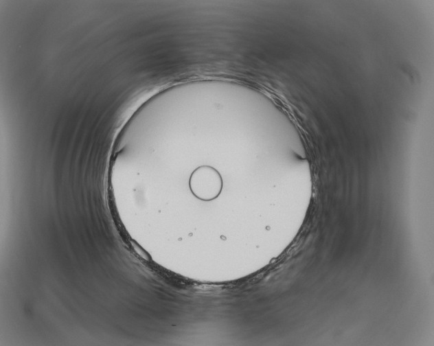 X0000112530052200909281047