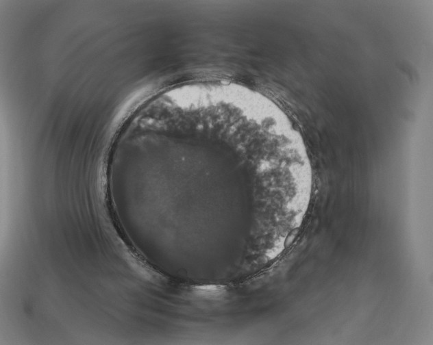 X0000112530053200909281047