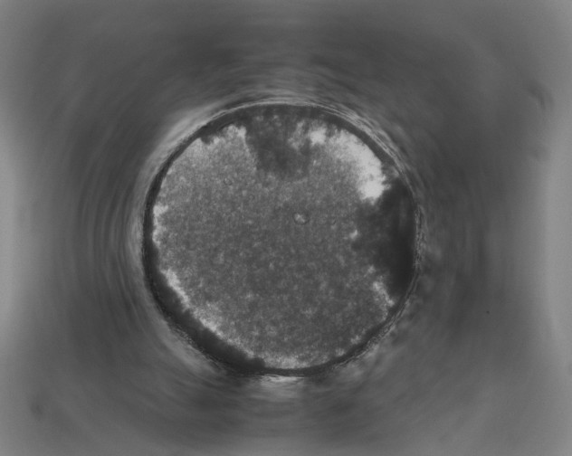 X0000112530055200909281047