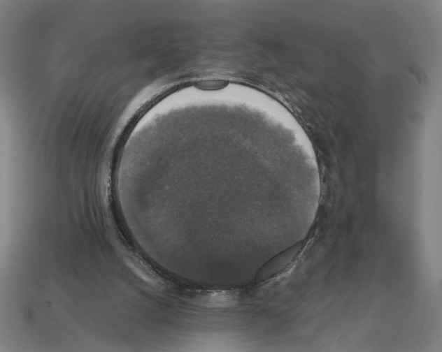 X0000112530056200909281047