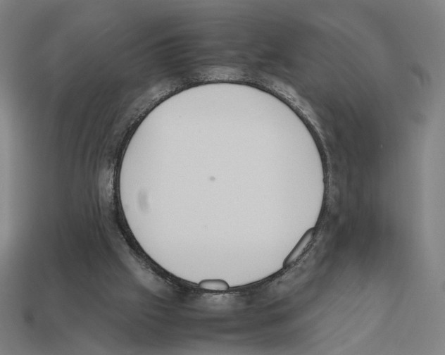 X0000112530057200909281047