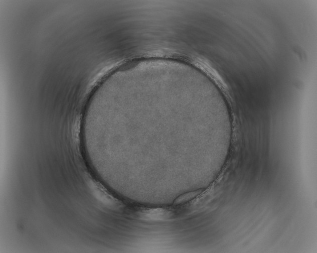 X0000112530058200909281047