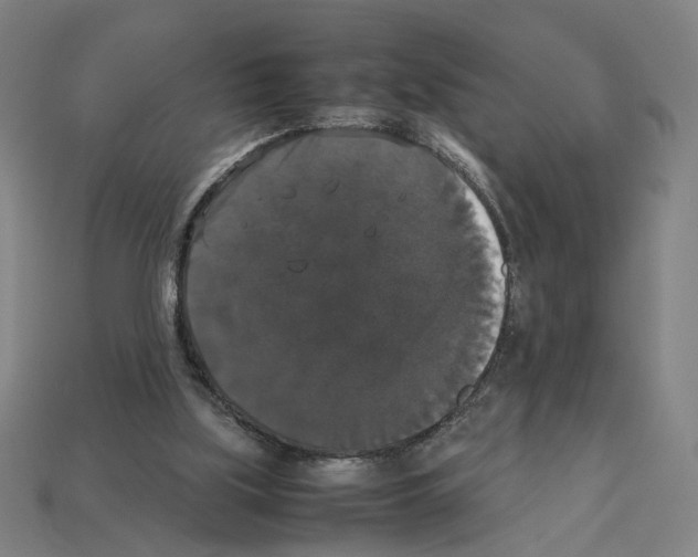 X0000112530059200909281047