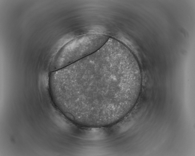 X0000112530060200909281047