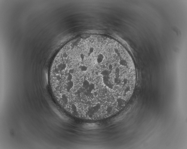 X0000112530061200909281047