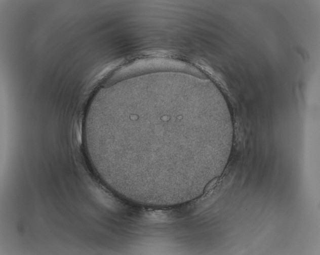 X0000112530062200909281047