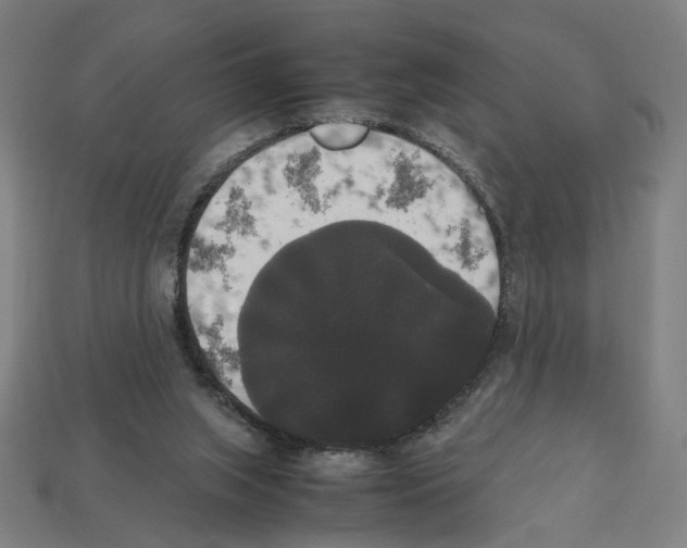 X0000112530063200909281047